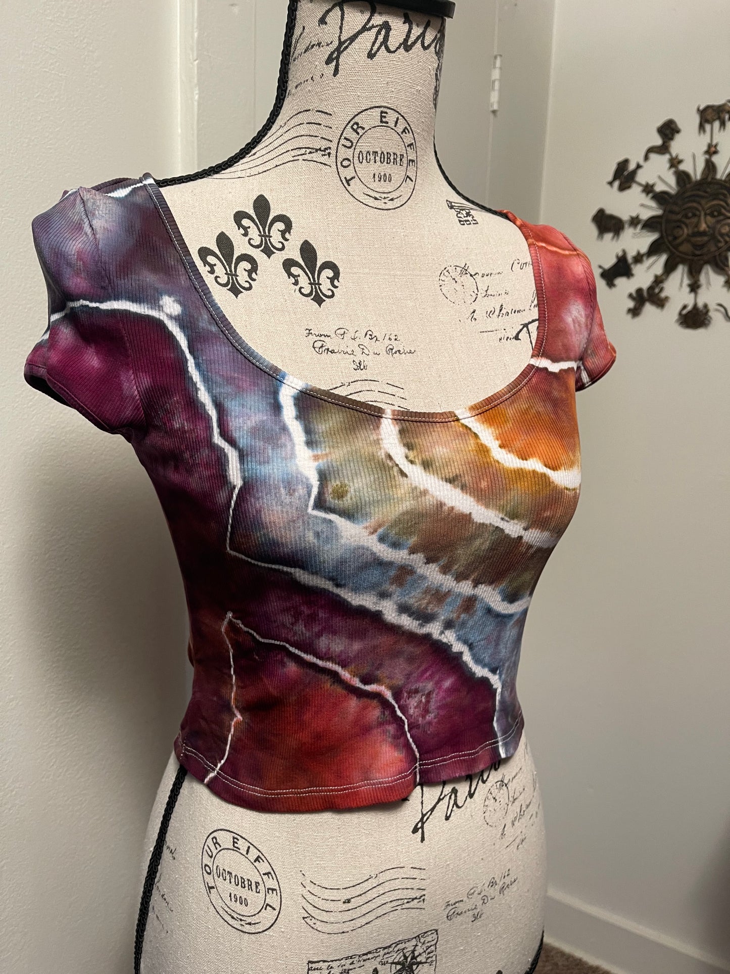 Medium Earthy Rainbow Crop Top
