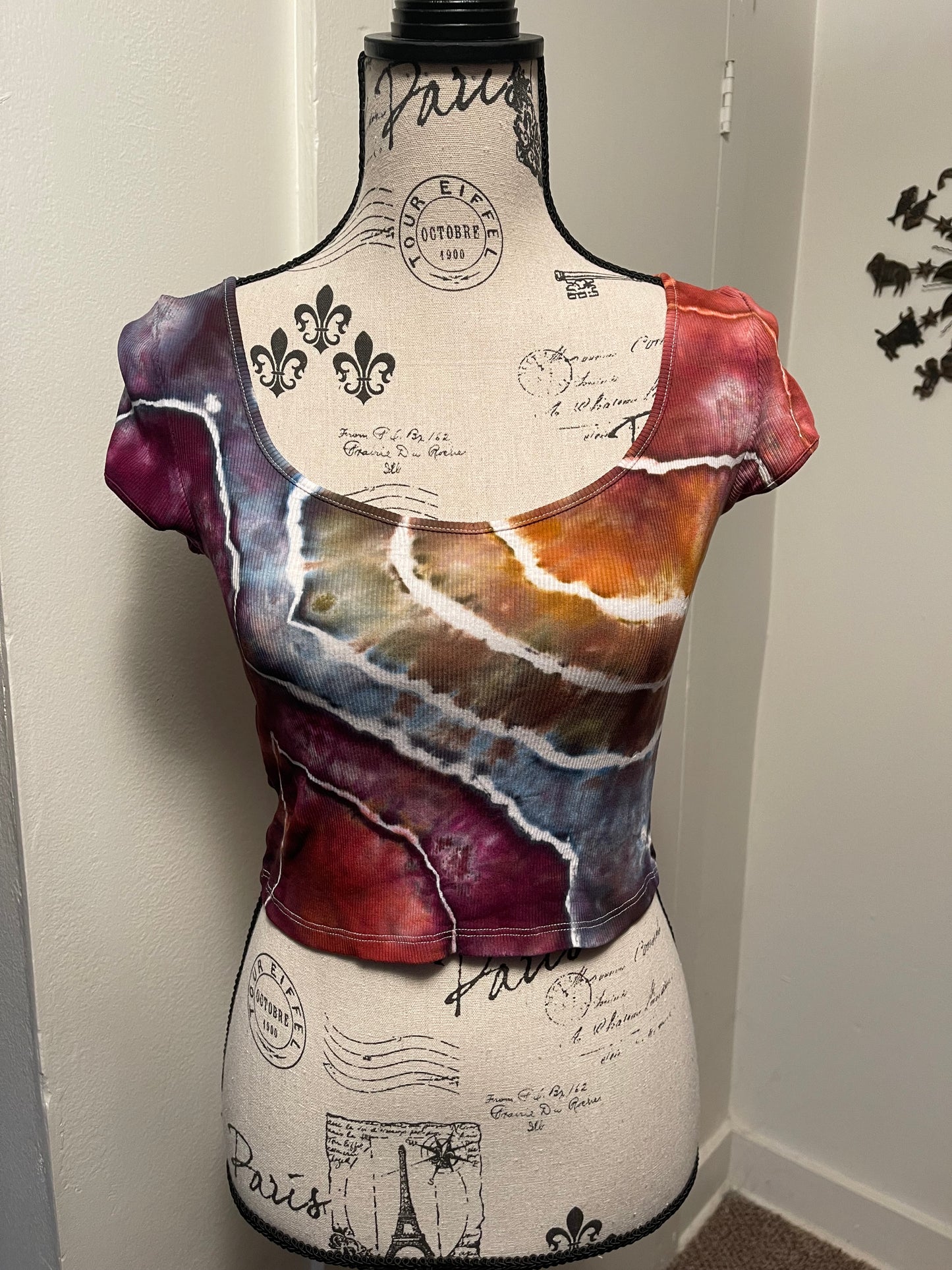 Medium Earthy Rainbow Crop Top