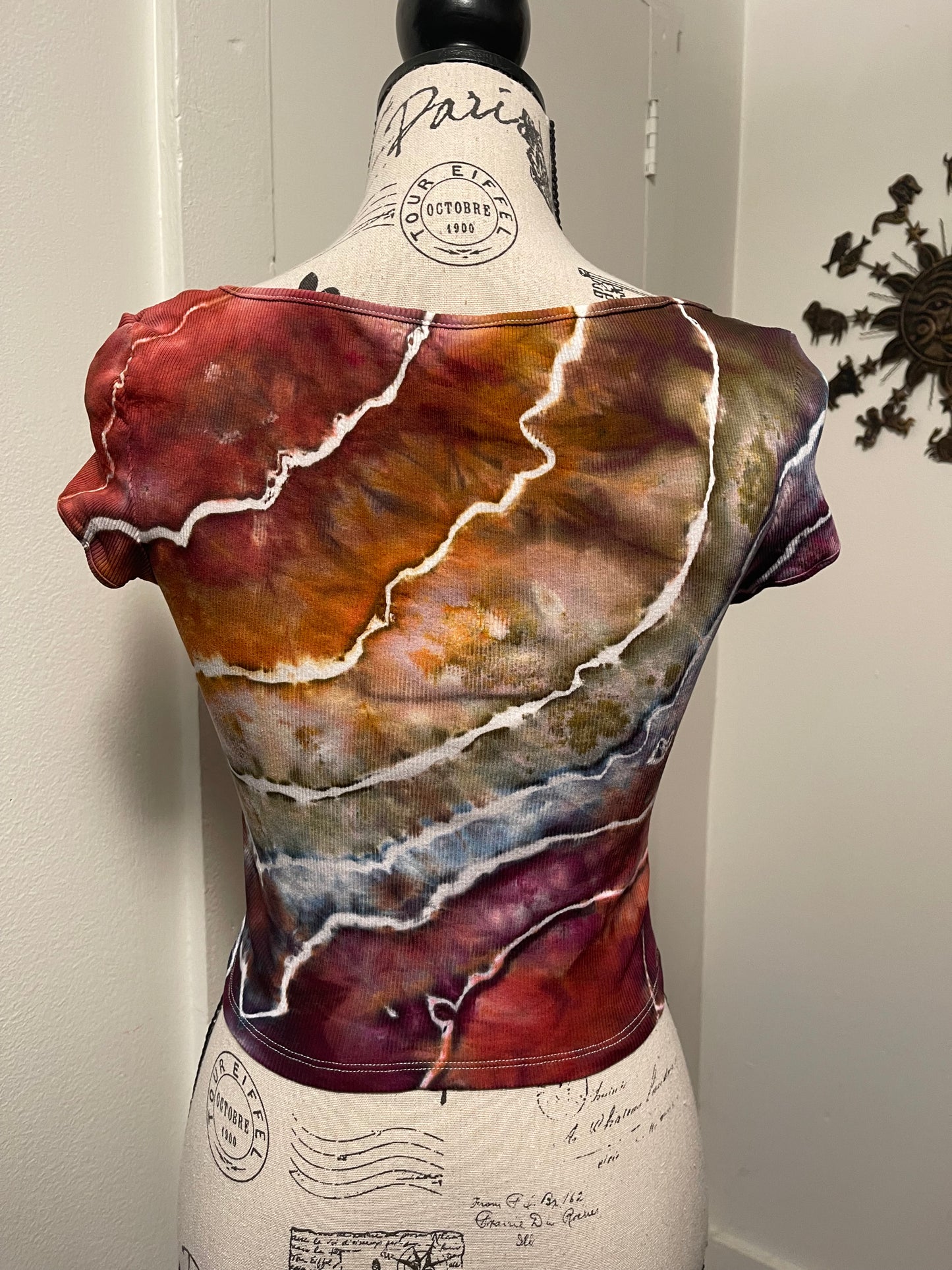 Medium Earthy Rainbow Crop Top