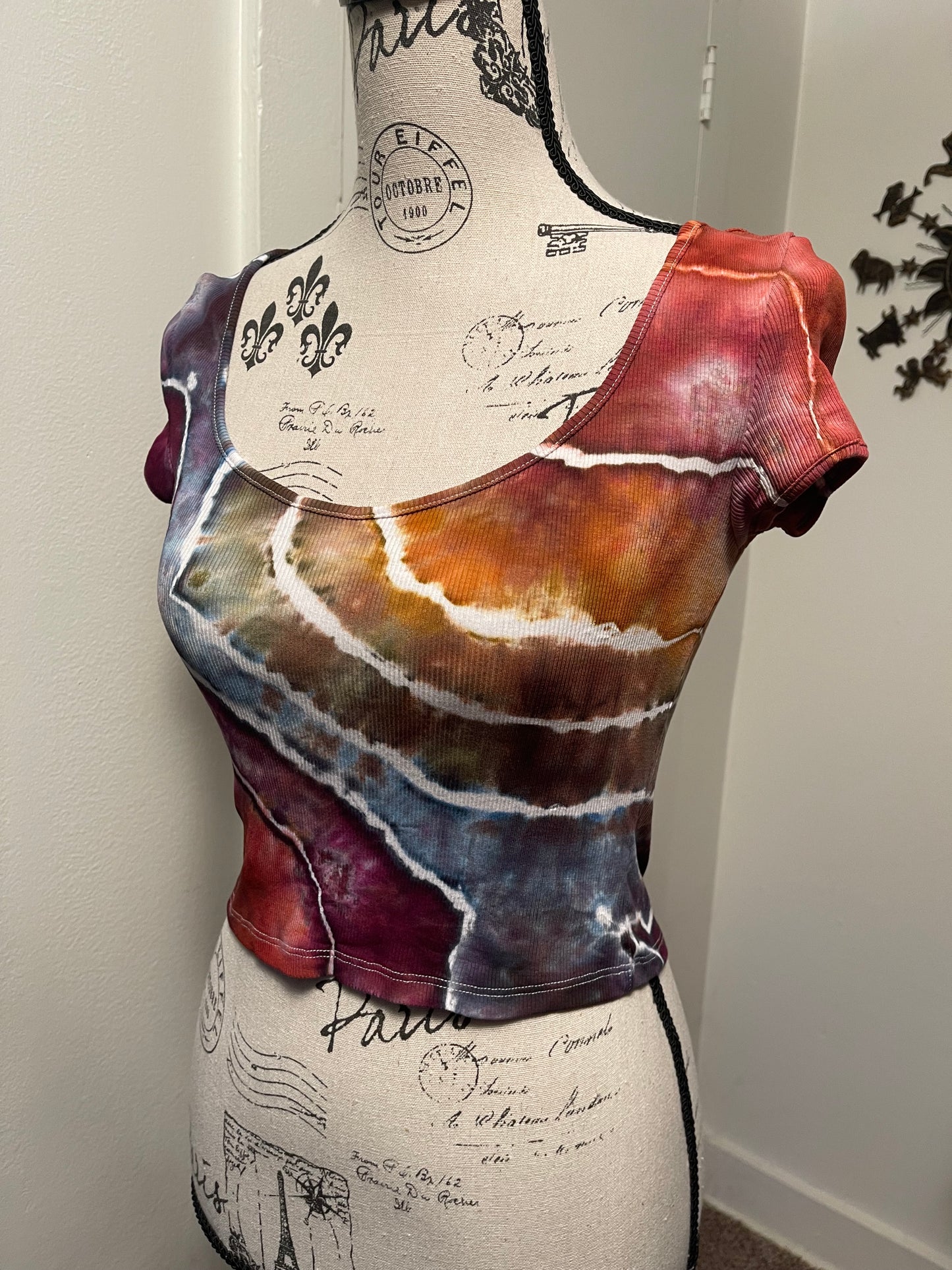 Medium Earthy Rainbow Crop Top